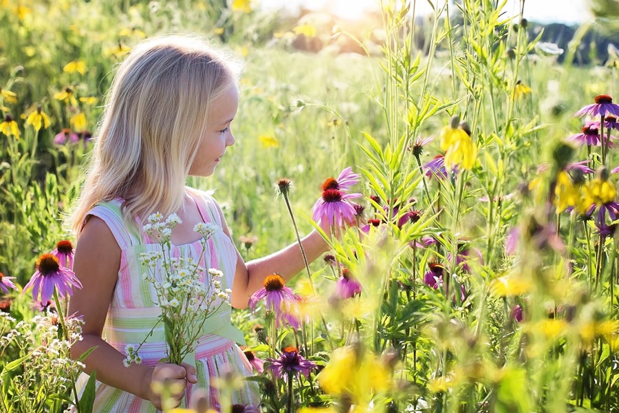 Dairy Free Recipes for Toddlers a Young Girl Sitting in a Field of Flowers 