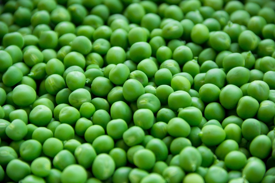 Intermittent Fasting 168 Foods to Eat Close Up of Peas in a Pile