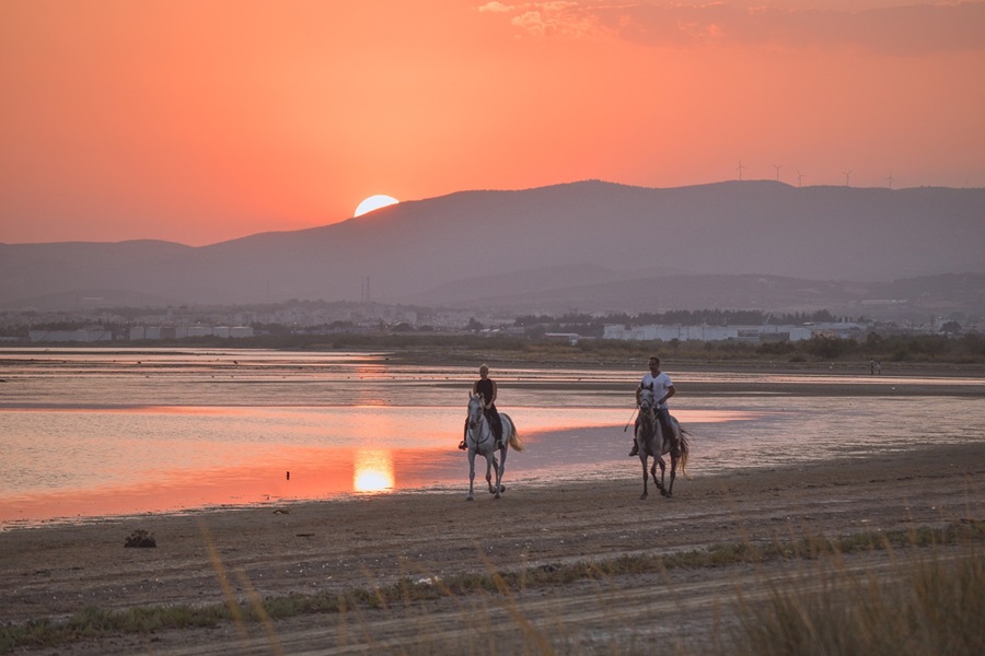 Things to Do in Wailea Maui Two People Each Riding a Horse on a Beach with the Sun Setting Behind Them