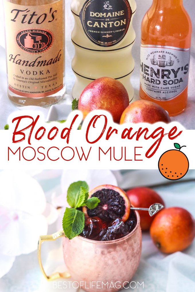 The Moscow Mule cocktail has been majorly popular for some time, but it's time to spruce it up making it a blood orange Moscow Mule. Easy Cocktail Recipes | Cocktail Recipes with Beer | Beer Cocktail Recipes | Refreshing Cocktail Recipes \ Drinks for Parties | Party Recipes for Adults | Party Recipes for Summer | Moscow Mule Recipes #moscowmule #cocktailrecipes via @amybarseghian