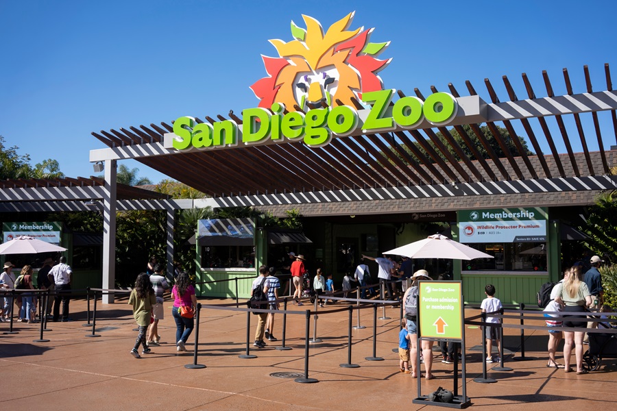 San Diego Zoo – Tips for your First Trip