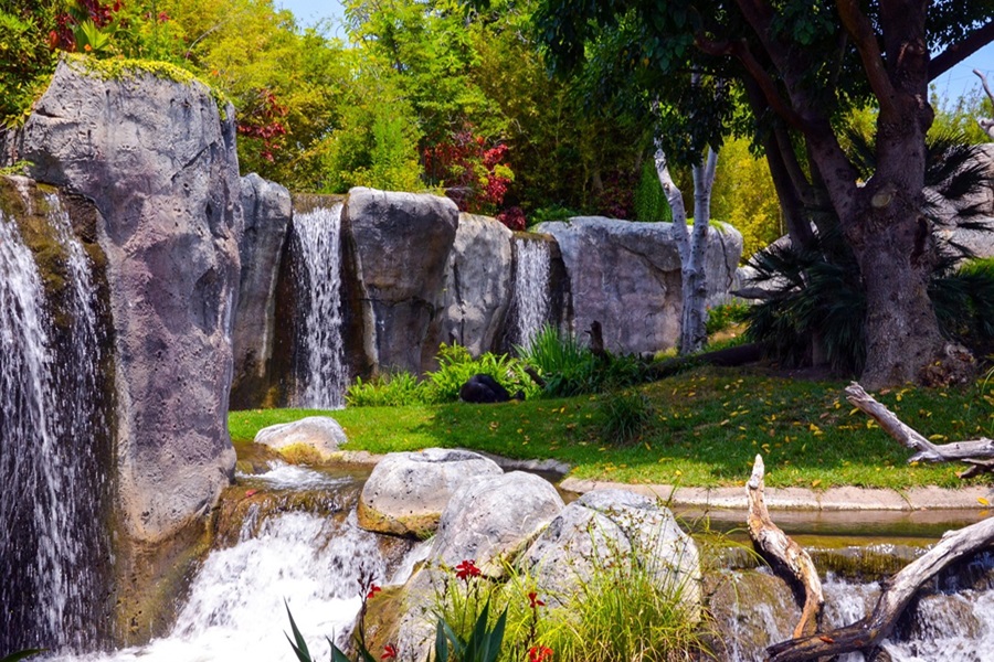 View of an Waterfall at the San Diego Zoo 