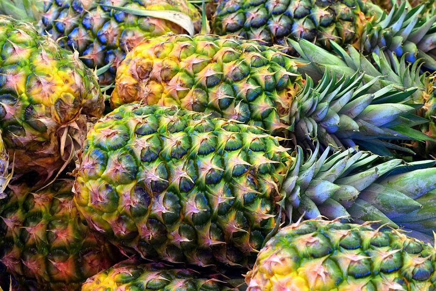 How to Make Fresh Pineapple Juice Close Up of a Bunch of Pineapples 