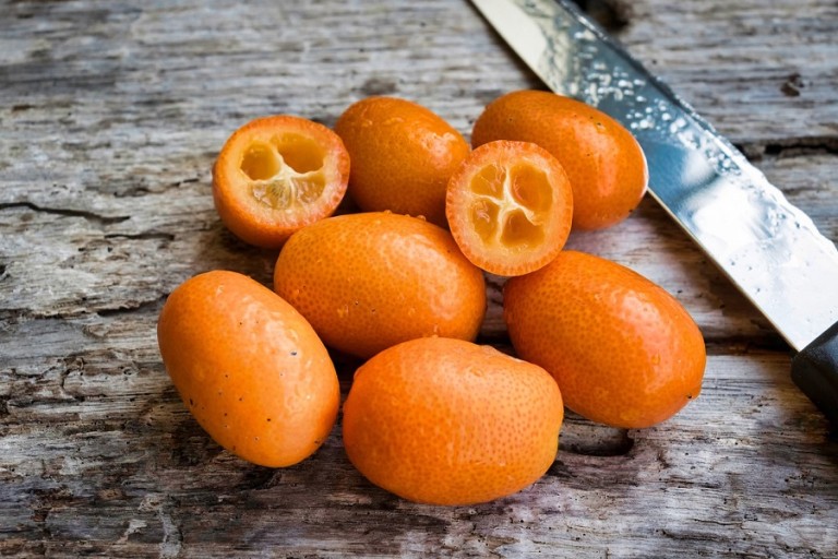 How to Use Kumquats 30 Recipes with Kumquats