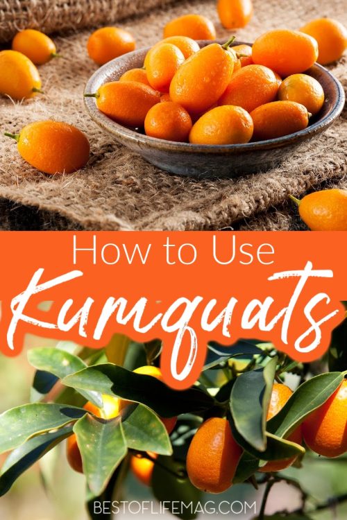 Recipes with kumquats introduce the world to a fruit that isn’t as well known as the others but just as delicious as them all. From desserts to cocktails, kumquat recipes are easy to make, too! Kumquat Recipes | Recipes with Fruit | Healthy Recipes Kumquat Dessert Recipes | Kumquat Recipes for Parties | Fruity Breakfast Recipes | Easy Dessert Recipes #recipes #healthyrecipes