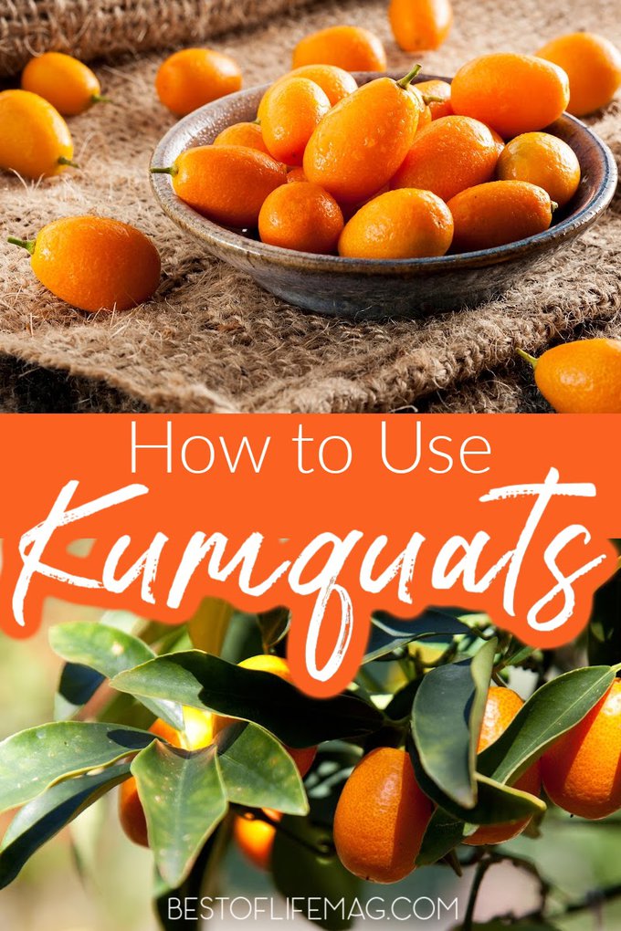 Recipes with kumquats introduce the world to a fruit that isn’t as well known as the others but just as delicious as them all. From desserts to cocktails, kumquat recipes are easy to make, too! Kumquat Recipes | Recipes with Fruit | Healthy Recipes Kumquat Dessert Recipes | Kumquat Recipes for Parties | Fruity Breakfast Recipes | Easy Dessert Recipes #recipes #healthyrecipes via @amybarseghian