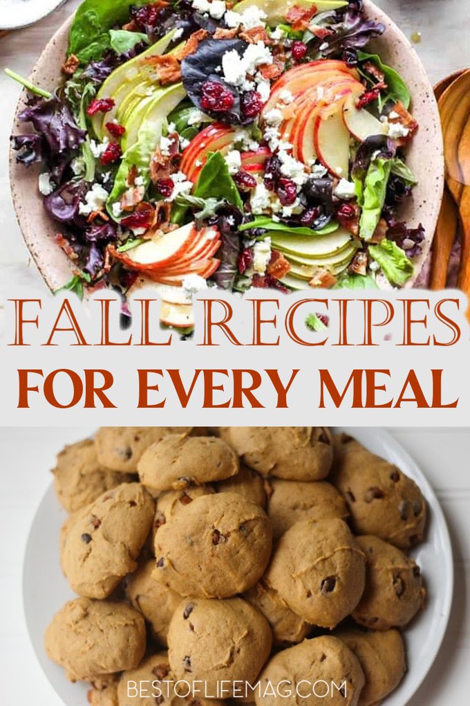 Fall weather is perfect for sipping cider by the fire and enjoying fall recipes like dips, drinks, breakfast, smoothies, and more with family and friends! Dip Recipes | Cider Recipes | Fall Drink Recipes | Breakfast Recipes | Recipes for Entertaining | Thanksgiving Recipes | Recipes for Chilly Days | Soup Recipes for Fall | Chili Recipes for Fall #fallrecipes #seasonalfood via @amybarseghian