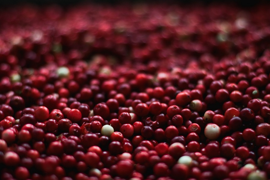 Fall Margaritas Close Up of Cranberries