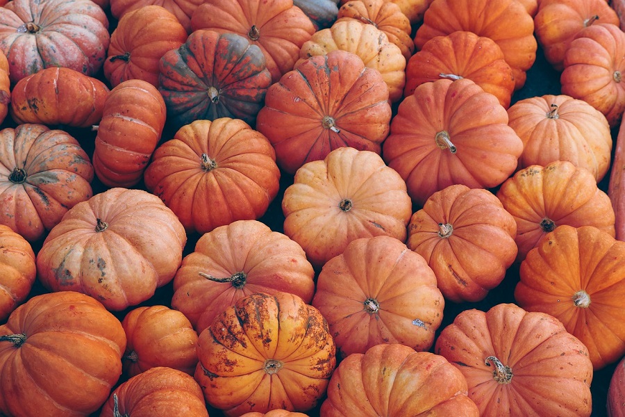 Fall Margaritas Close Up of a Bunch of Pumpkins