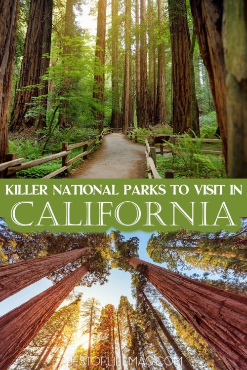 3 Killer National Parks in California you Must Visit - The Best of Life ...