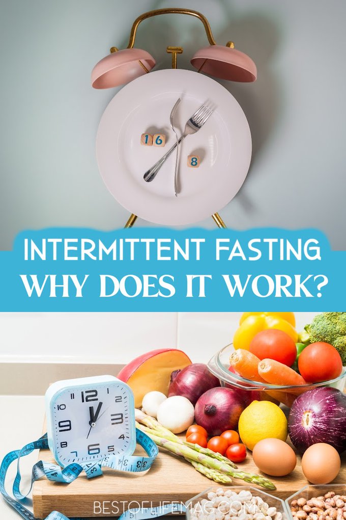 Why does intermittent fasting work? The short answer is it’s a healthier approach to eating, but there is a lot of information that goes into that answer that will motivate you to stay dedicated to your IF plan. Weight Loss Tips | Diet Plans | Meal Prep Tips | Intermittent Fasting Tips | Weight Loss Tips | Intermittent Fasting Ideas | Ways Intermittent Fasting Works | How to Start Intermittent Fasting #weightlosstips #intermittentfasting