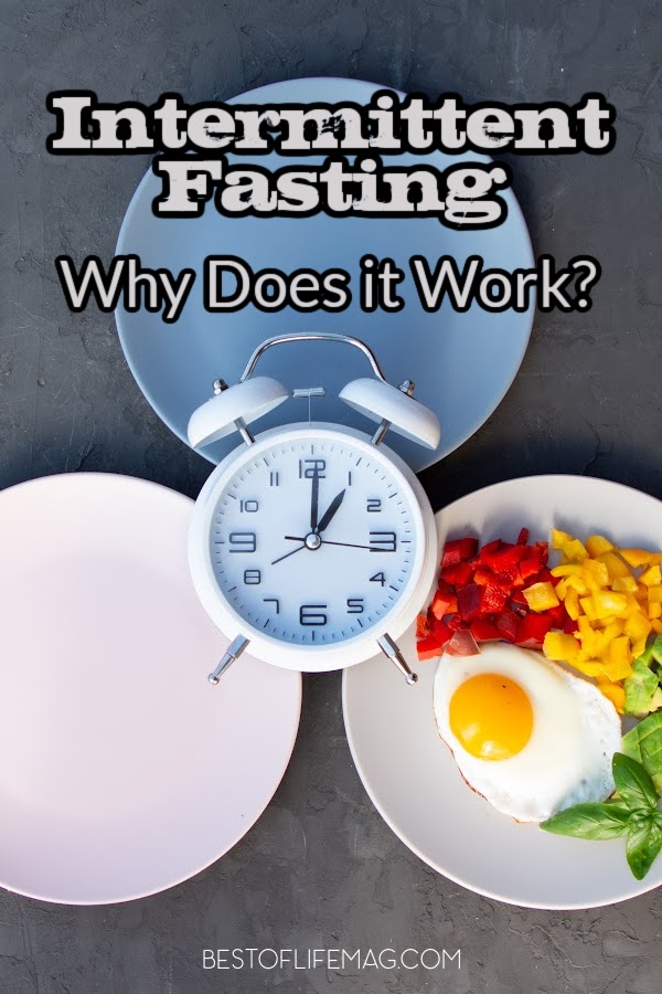 Why does intermittent fasting work? The short answer is it’s a healthier approach to eating, but there is a lot of information that goes into that answer that will motivate you to stay dedicated to your IF plan. Weight Loss Tips | Diet Plans | Meal Prep Tips | Intermittent Fasting Tips | Weight Loss Tips | Intermittent Fasting Ideas | Ways Intermittent Fasting Works | How to Start Intermittent Fasting #weightlosstips #intermittentfasting