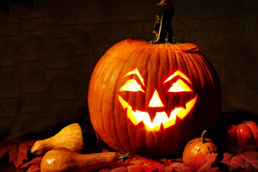DIY Halloween Decorations for Spooky Season