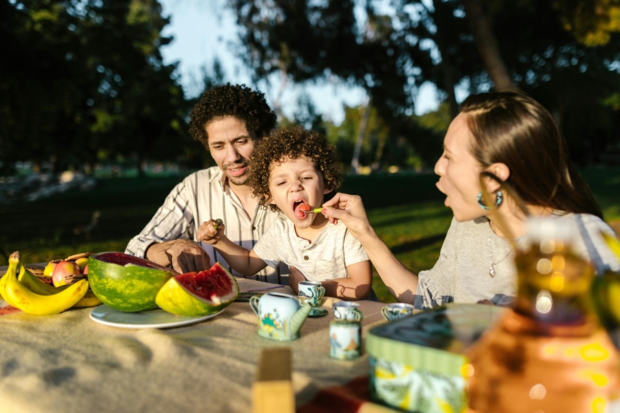 Healthy Chicken Recipes a Family Feeding Their Child at a Picnic Table in a Park