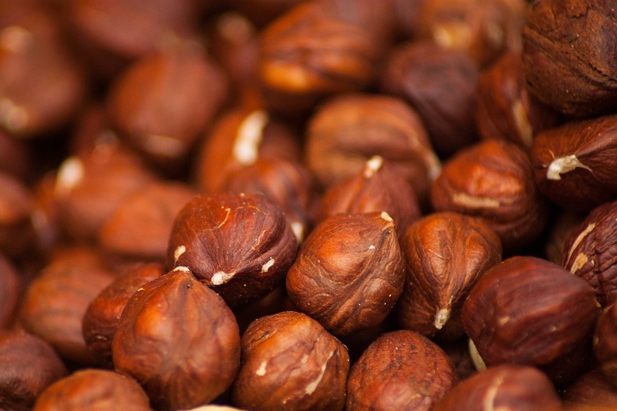 Best Protein Powder for Diabetics Close Up of Nuts Filled with Protein