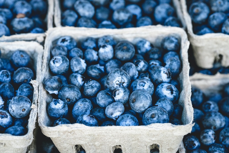 Best Dairy-Free Meal Replacement Shakes Close Up of a Basket of Blueberries