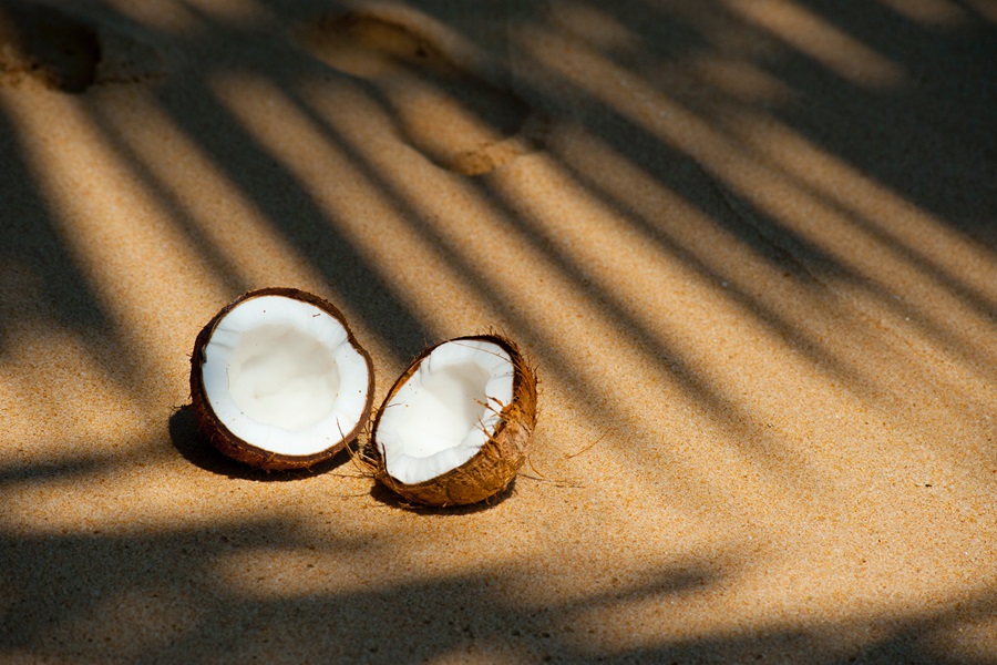 Best Dairy-Free Meal Replacement Shakes a Coconut Cut in Half on Sand