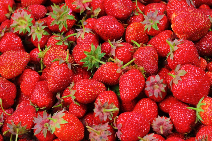 Best Dairy-Free Meal Replacement Shakes Close Up of Strawberries