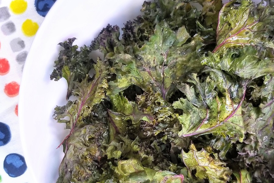 Easy Air Fryer Kale Chips Recipe Close Up of Kale Chips in a White Bowl