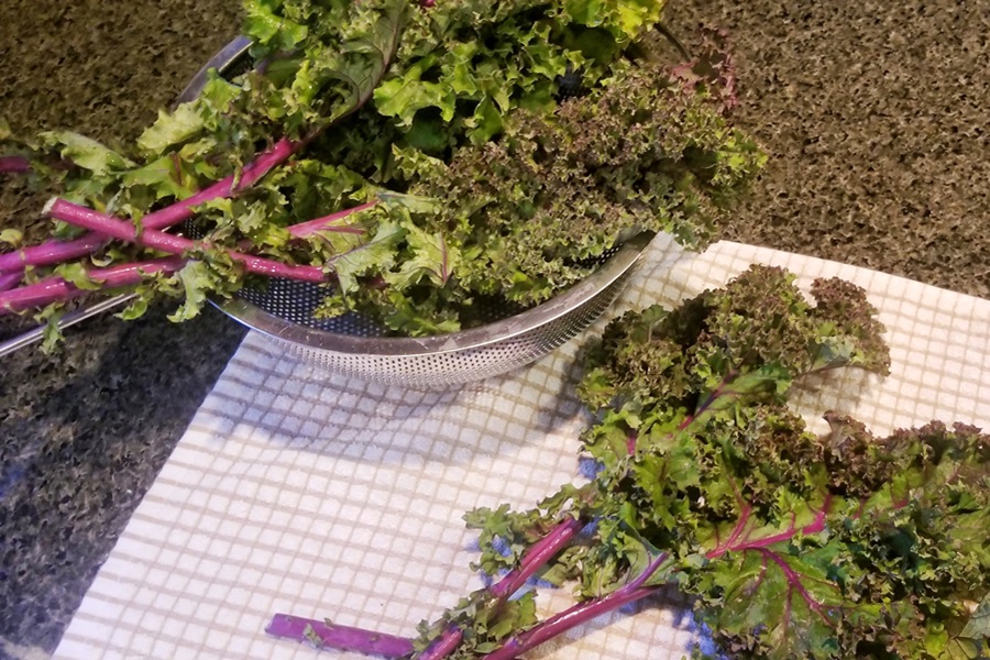 Easy Air Fryer Kale Chips Recipe Freshly washed Kale Leaves in a Metallic Strainer 