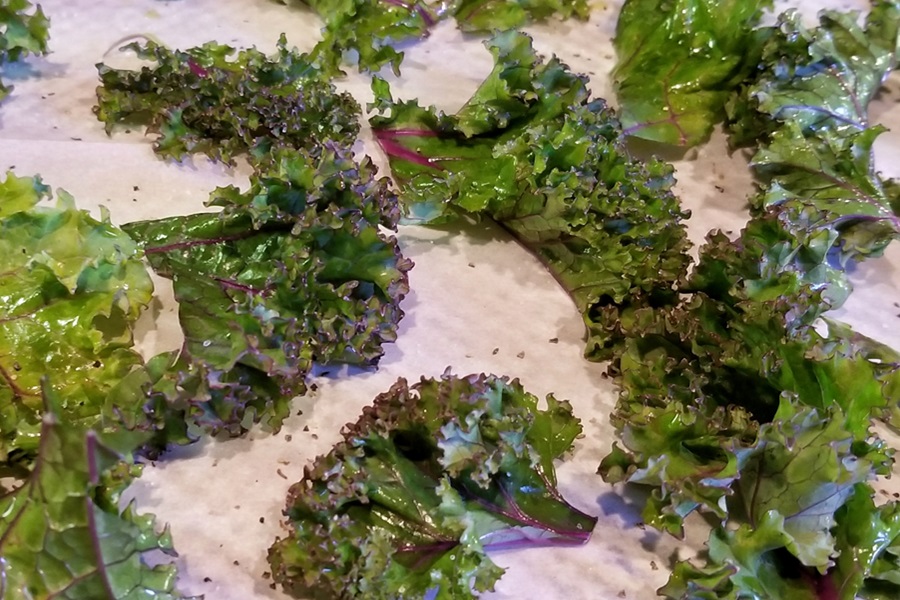 Easy Air Fryer Kale Chips Recipe Kale Leaves on a Paper Towel