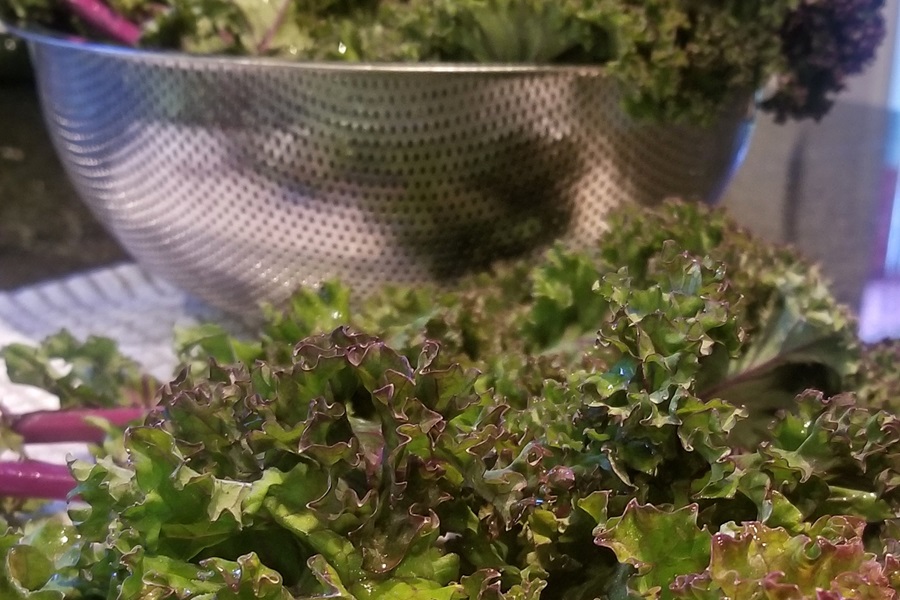 Easy Air Fryer Kale Chips Recipe Close Up of Kale Next to a Metal Strainer