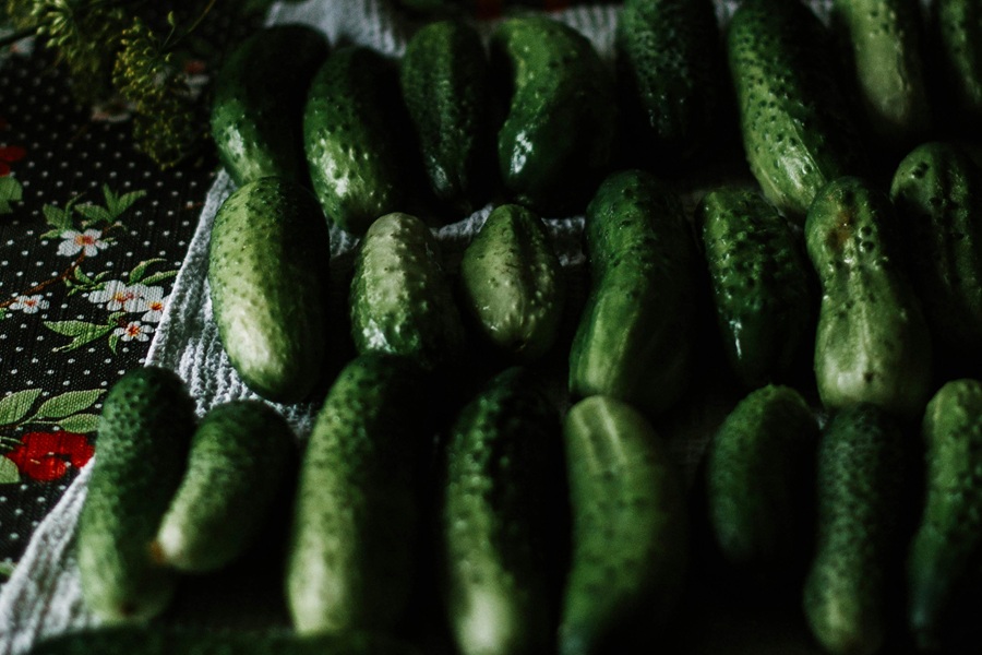 Fat Burning Juice Recipes  a Collection of Cucumbers on a Towel