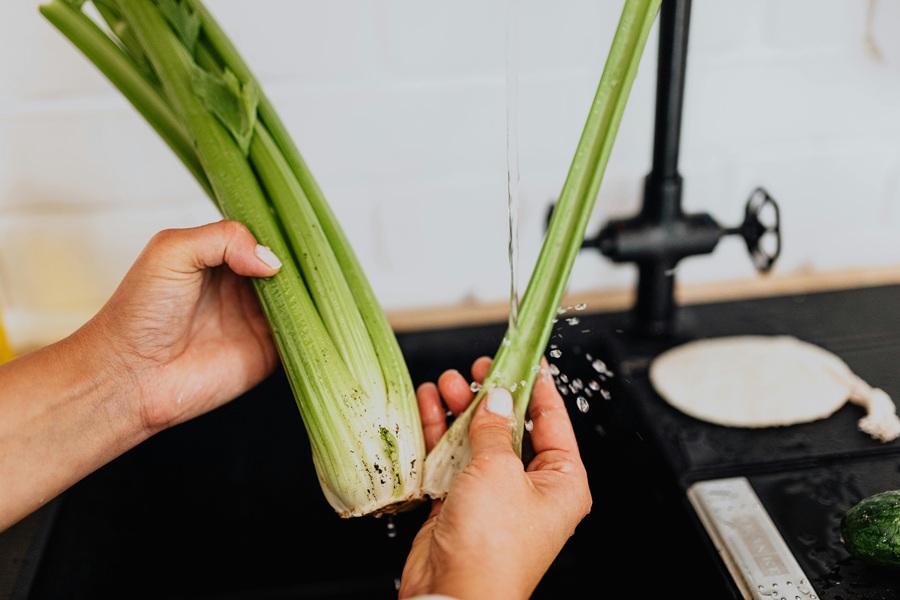 Fat Burning Juice Recipes  a Person's Hands Washing Celery in a Sink