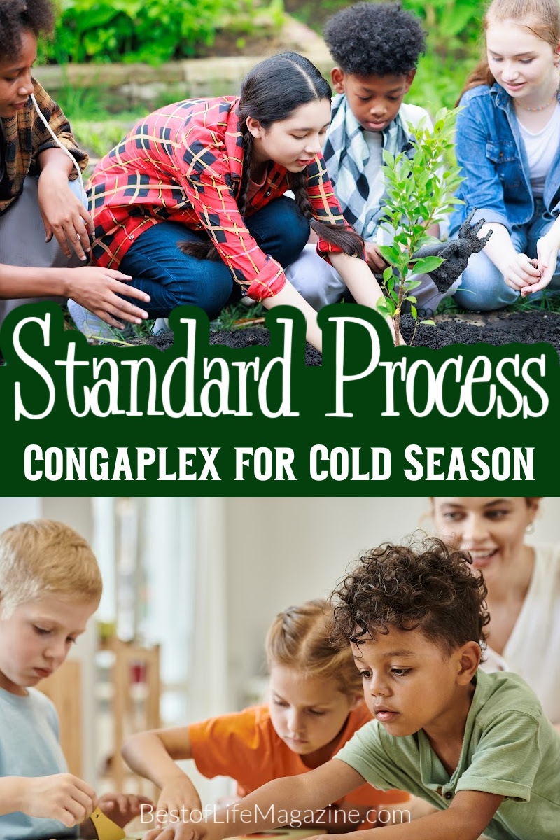 We have used Standard Process Congaplex for our children and us as adults for years as a natural supplement and hope sharing our experience helps. Parenting Tips | Supplements for Kids | Health Tips for Parents | Health Tips for Kids | Standard Process Supplements for Kids | Standard Process Supplements for Adults | Home Remedies for Colds via @amybarseghian