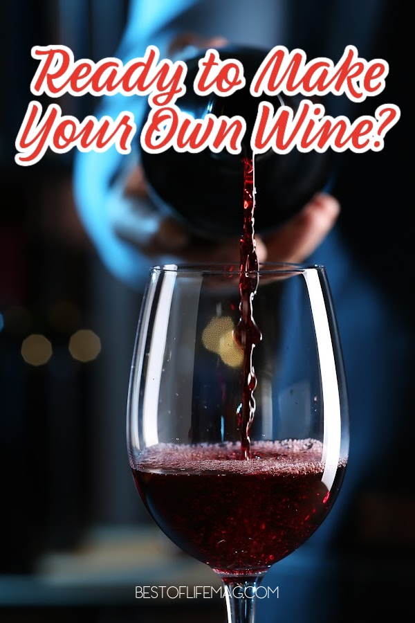 Celebrate your love of wine with DIY homemade wine recipes that you can make, and enjoy, right at home. Wine Recipes Homemade | Wine Recipes Food | Wine Recipes Cocktail | Wine Recipes Moscato | Homemade Grape Wine Recipe | Tips for Making Wine | Wine Making Recipe | Safe Wine Recipes via @amybarseghian