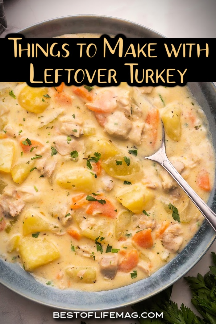 These delicious and healthy leftover turkey recipes are perfect to put those turkey leftovers to good use! The entire family will enjoy these meals! Leftover Turkey Dinner Ideas | Quick Leftover Turkey Meals | Thanksgiving Turkey Leftovers Casseroles | Leftover Turkey Curry Recipes | Leftover Turkey Pasta Recipes | Leftover Turkey Casserole | Leftover Turkey Ideas | Leftover Thanksgiving Turkey Recipes via @amybarseghian