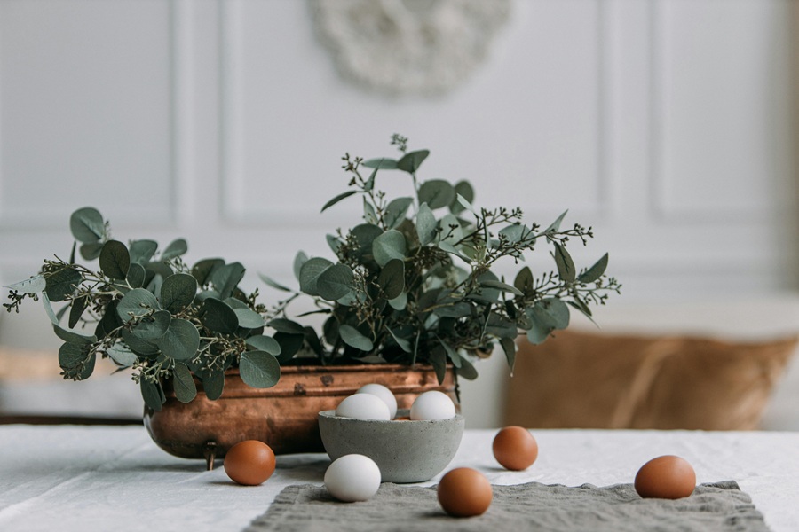 Healthy Easter Dinner Side Dishes Eggs in a Bowl on a Table with More Eggs Scattered Around and a Planter with a Small Plant