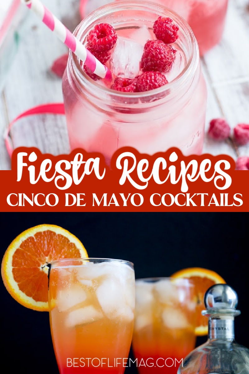 Celebrating other cultures is a great way to share our cultures in America, so raise a glass and enjoy one of these easy Cinco de Mayo drinks. via @amybarseghian