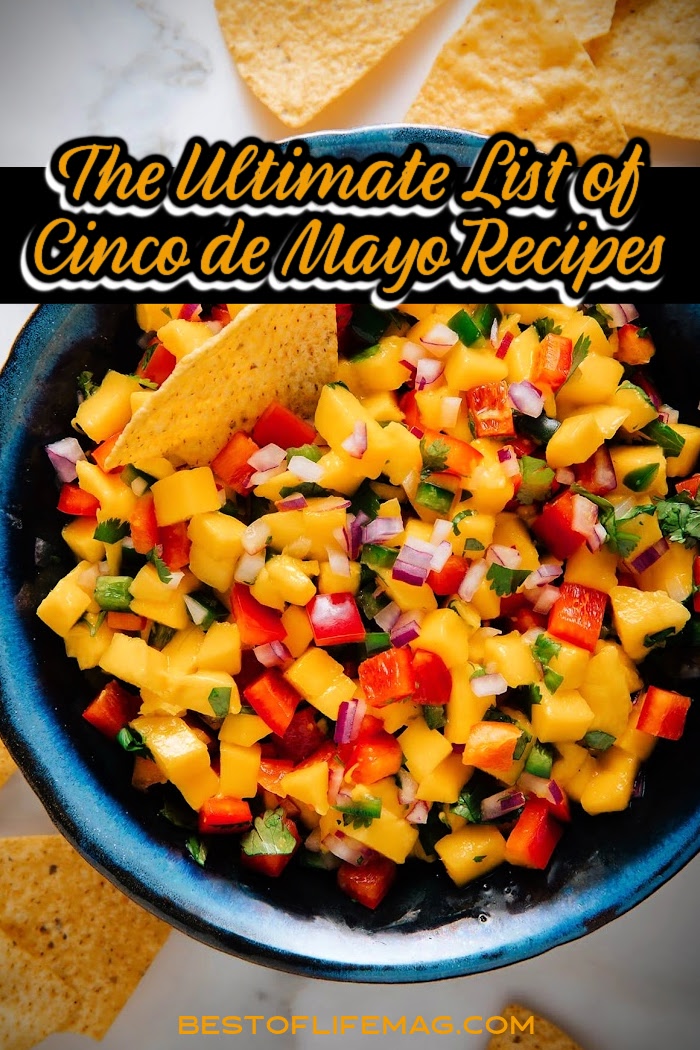Impress your friends and family on Cinco de Mayo with an amazing display of Cinco de Mayo foods! We have over 80 fantastic recipes for you! via @amybarseghian