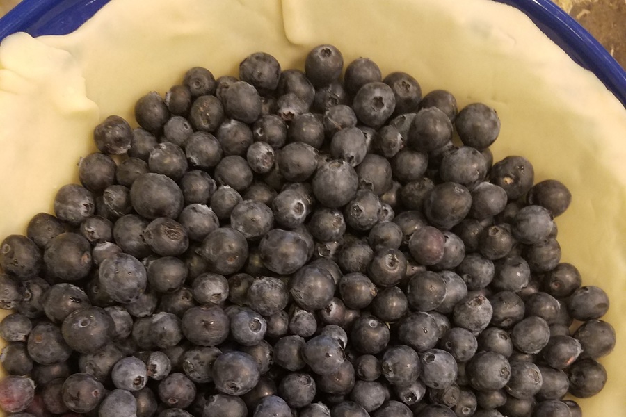 Dairy Free Fresh Blueberry Pie Recipe Fresh Blueberries in a Raw Pie Crust