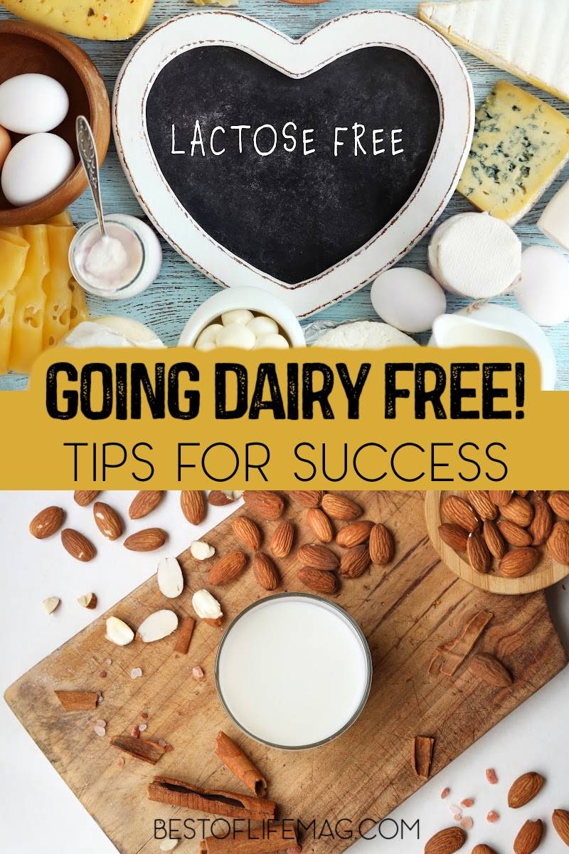 Knowing how to go dairy free is not always about finding the best dairy alternatives; it&rsquo;s more about changing our mindsets. via @amybarseghian