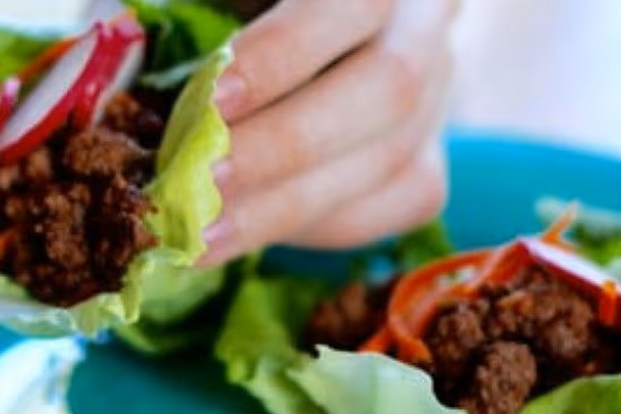 Low Carb Meals for Diabetics a Person's Hand Holding a Asian-Style Lettuce Wraps