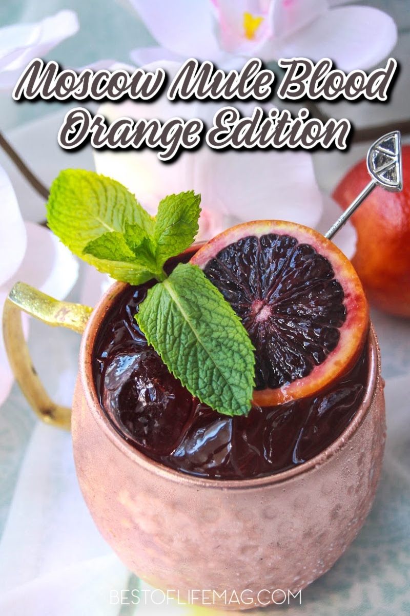 Our blood orange Moscow mule puts a citrusy twist on the classic cocktail! It's perfect for summer parties and entertaining. via @amybarseghian